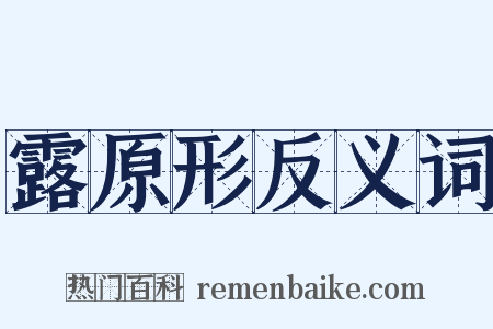 露原形反义词是什么意思的图片